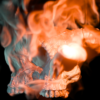 DemonSkull - Loop Pack - Image 5
